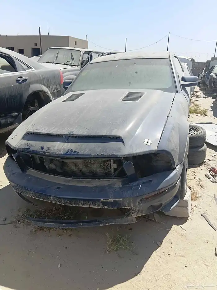 Mustang.ماكينه زمان واحد شهر.. 4