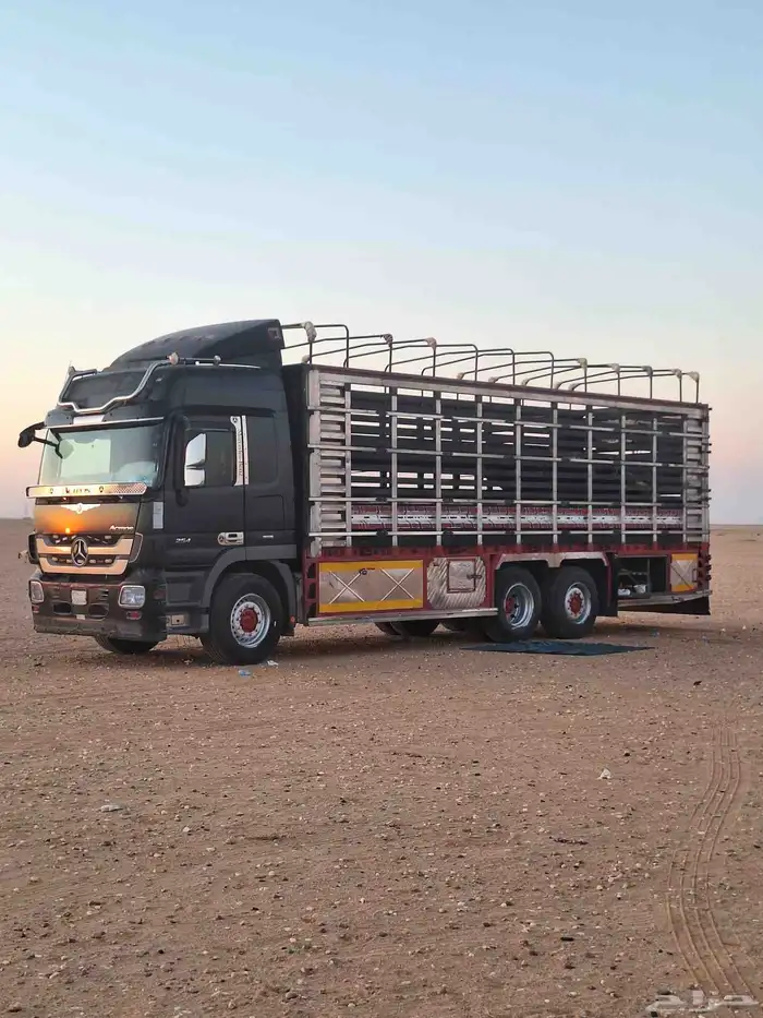 مسكس للبيع 5