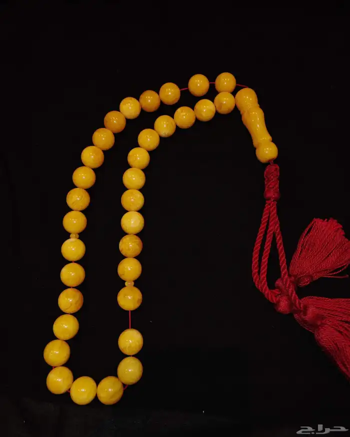 سبحه بكلايت بلجيكي جامبو 2