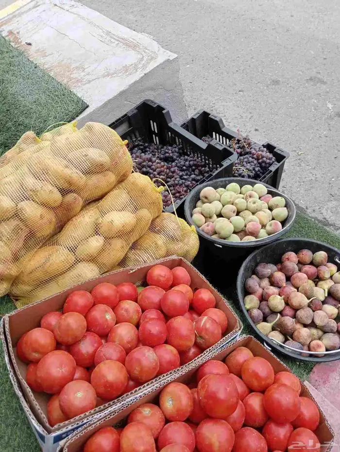 يوجد لدينا توصيل طلبات خضار وفواكه واحه كتام فرع رقم 2حي عبد 10
