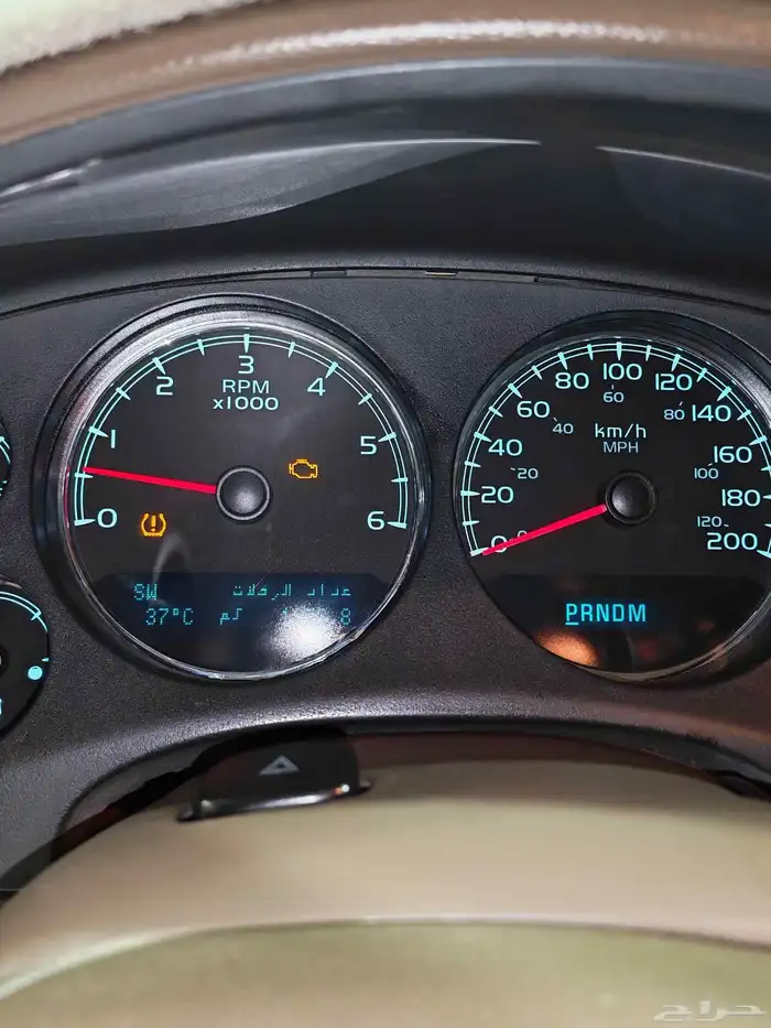 يوكن قصير الأحساء 14