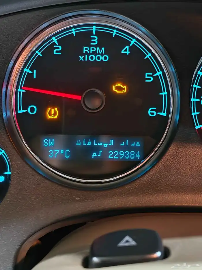 يوكن قصير الأحساء 13