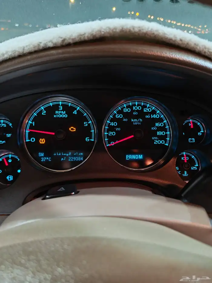 يوكن قصير الأحساء 12