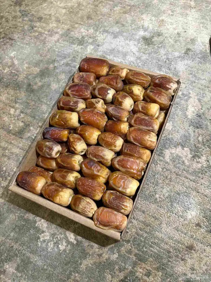 تمر صقعي وسكري 1