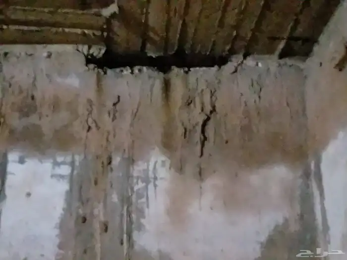 كشف تسربات المياه وعزل أسطح وخزانات المياه 8