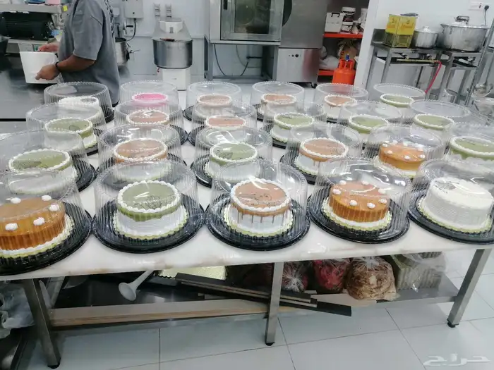 معمل لإنتاج الكيك والبقلاوة وباسعار التكلفة 0