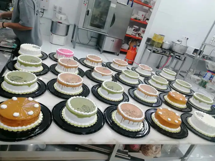 معمل لإنتاج الكيك والبقلاوة وباسعار التكلفة 1