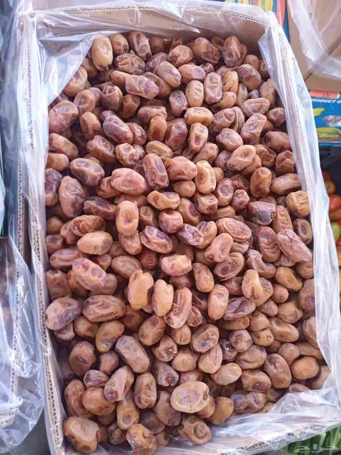 تمر اخلاص حبه فاخر اشقر للبيع 0