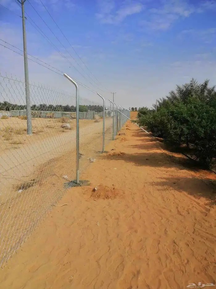 تركيب شبوك ونخيل 4