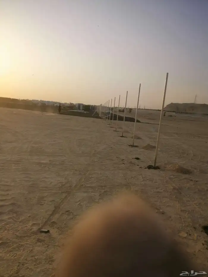 تركيب شبوك ونخيل 2