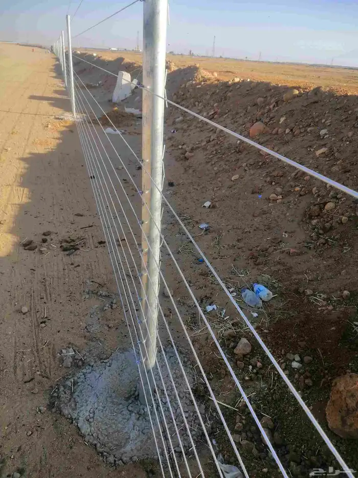 تركيب شبوك ونخيل 3