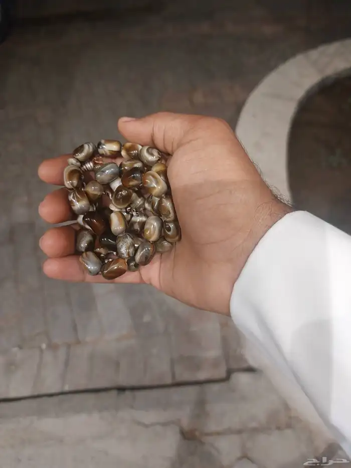 مسباح للبيع 0