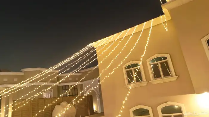 تاجير عقود تاجير كوش 3