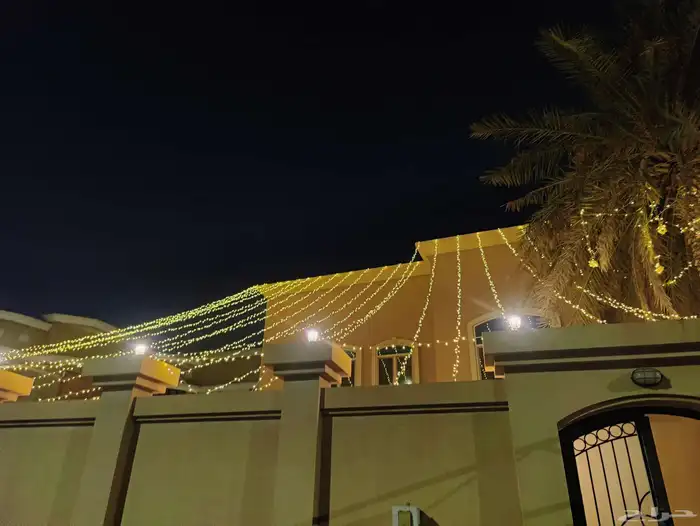 تاجير عقود تاجير كوش 2