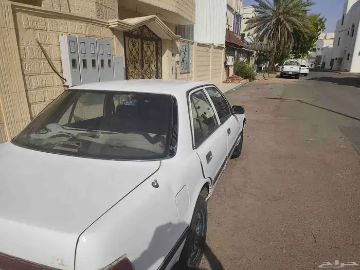 كورسيدا 95 1