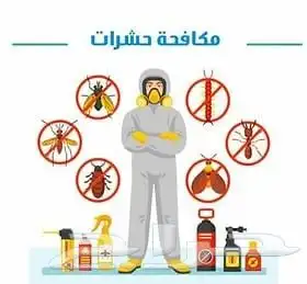 شركة مكافحة حشرات بالاحساء 1