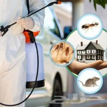 شركة مكافحة حشرات بالاحساء 4