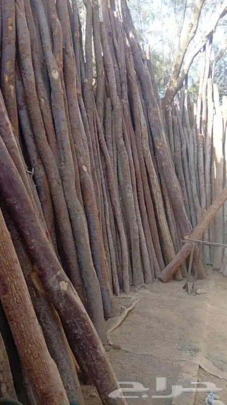 بنأ بيوت الطين وترميم والسقف من الجريد ولاثل 1