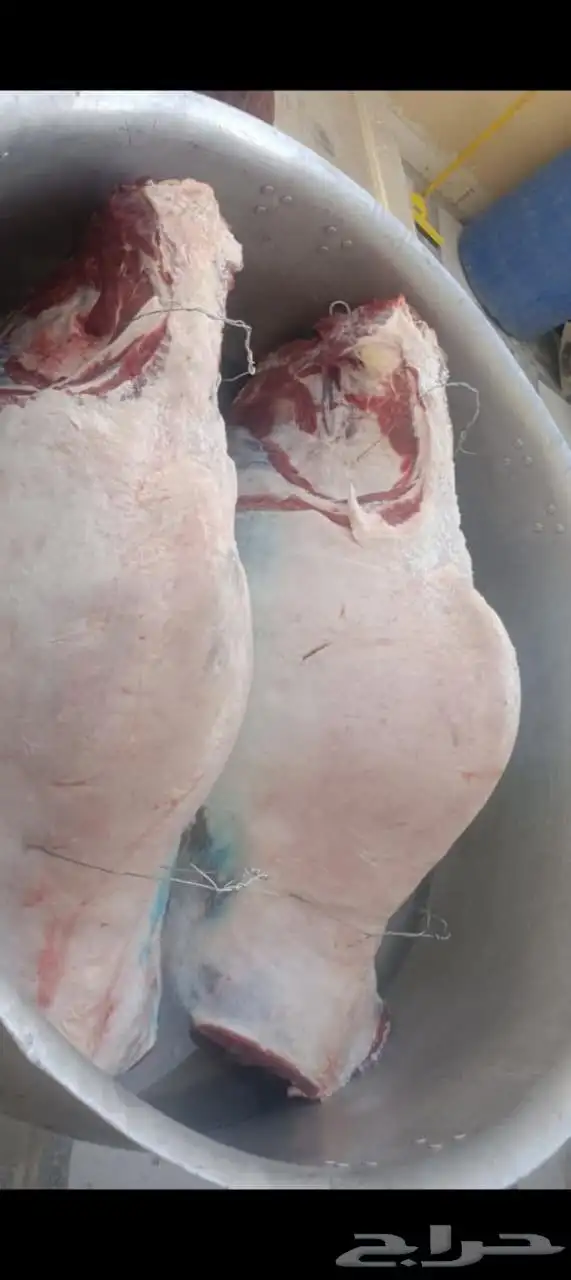طباخ متنقل داخل وخارج الرياض مع المعاميل 1