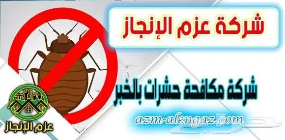 شركة مكافحة حشرات بالاحساء 6