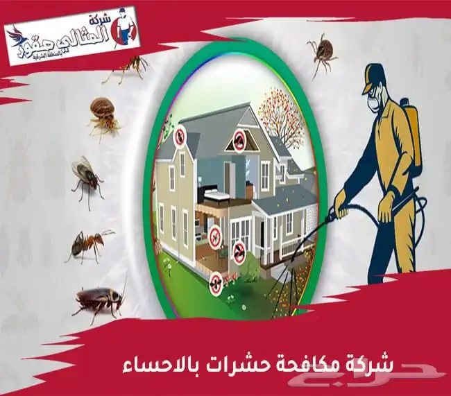 شركة مكافحة حشرات بالاحساء 0