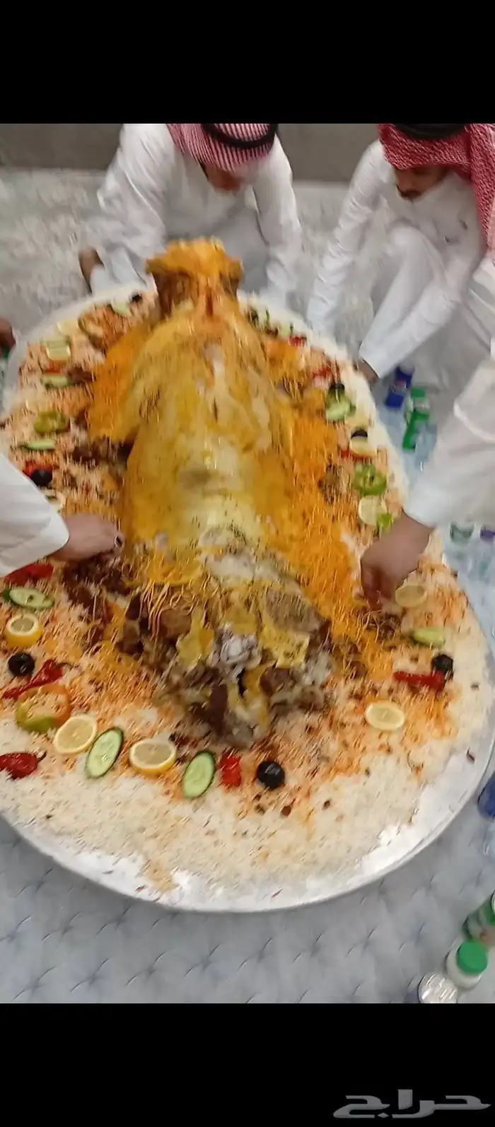 طباخ متنقل داخل وخارج الرياض مع المعاميل 3
