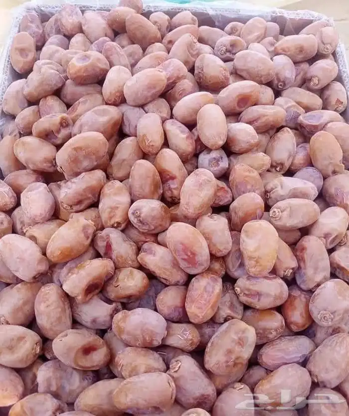 سلام عليكم عند اتمر حبه طيبة وفخخر الموقع القرنه 2