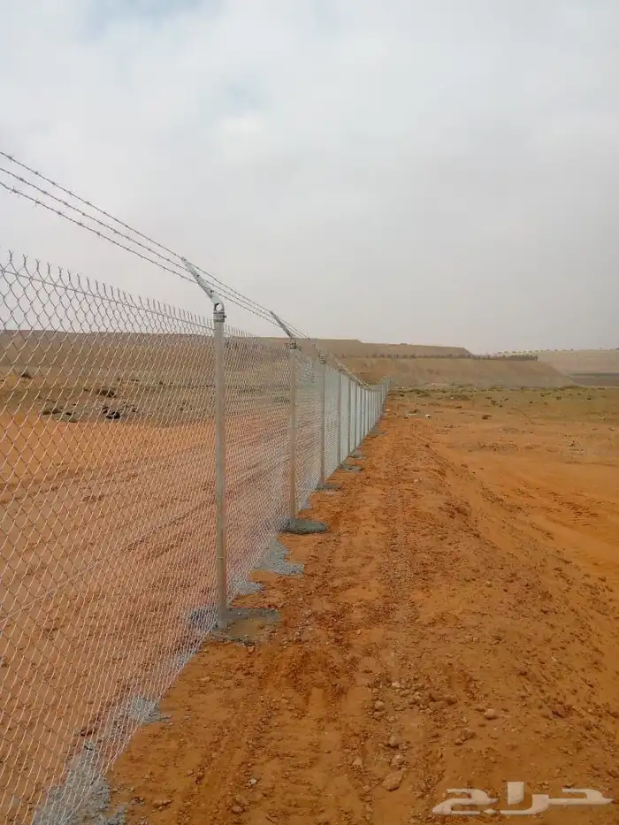 نخيل القصيم المثمرة الزلفي الغاط المجمعه سدير 6