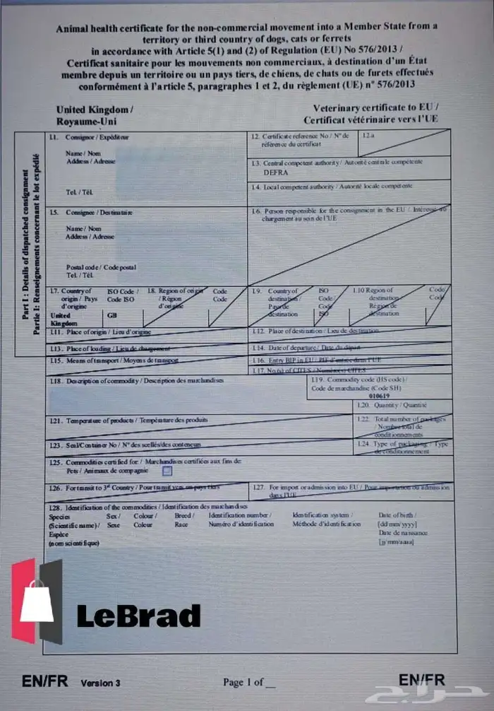 انتاج قريب قطط منشكن سكوتش بريتش فولد LeBrad Cattery 4