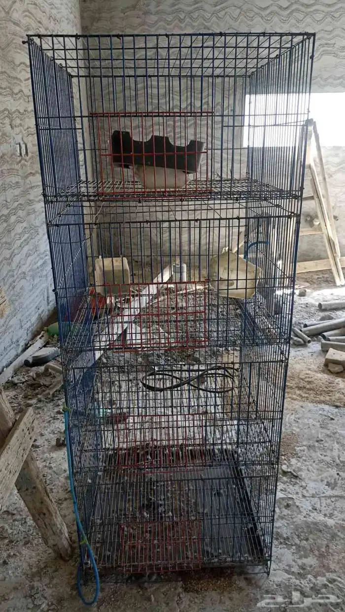 محاكر حمام 2