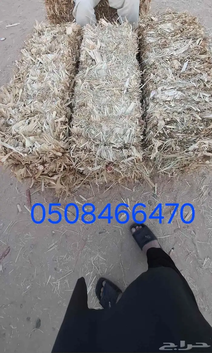قديم دورا شاميا مه خولط شد 90 0