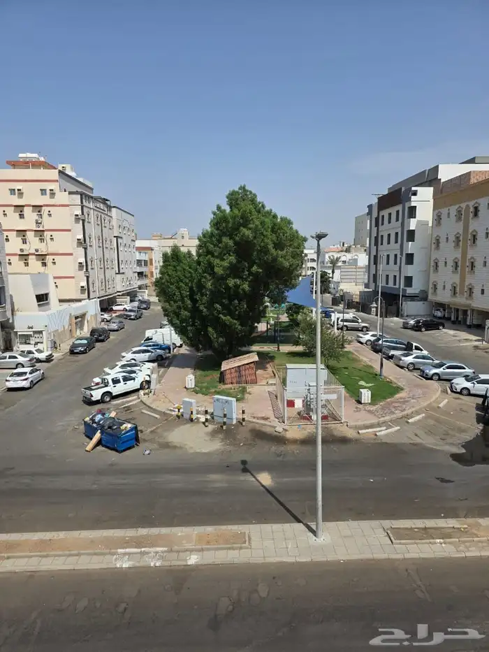 عماره بحي الصفا منطقه عماير للبيع فرص 1