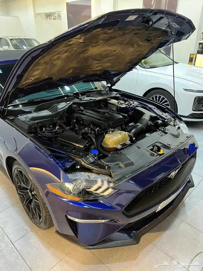موستنق.ايكوبوست كشف موديل 2020 8