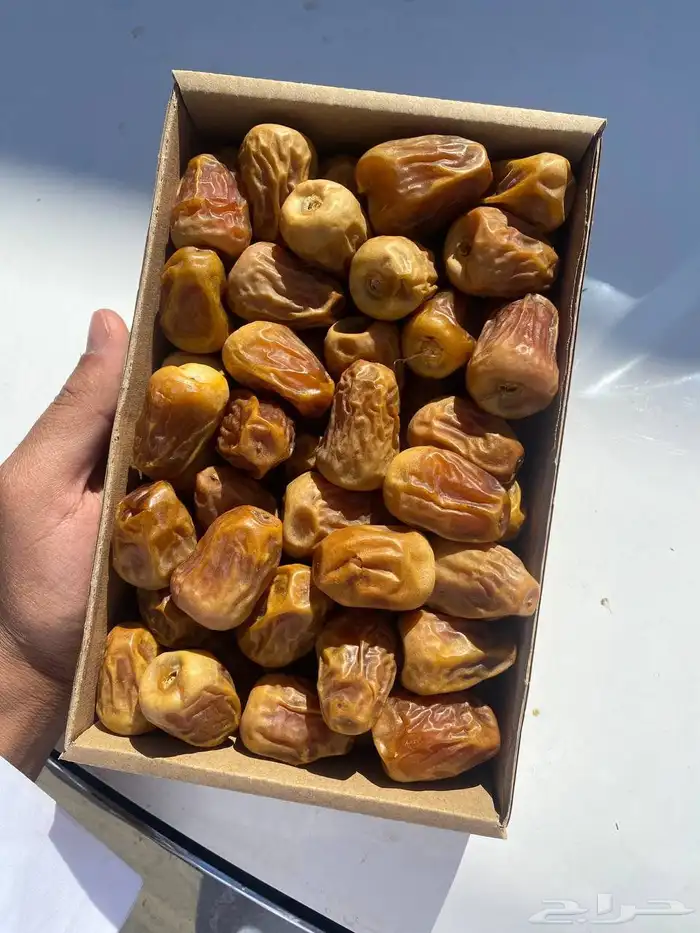 تمر صقعي وسكري 3