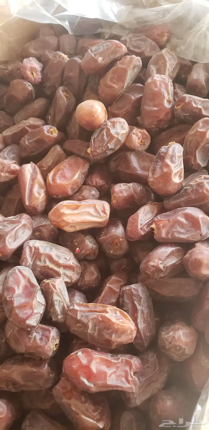 خظري للبيع 0