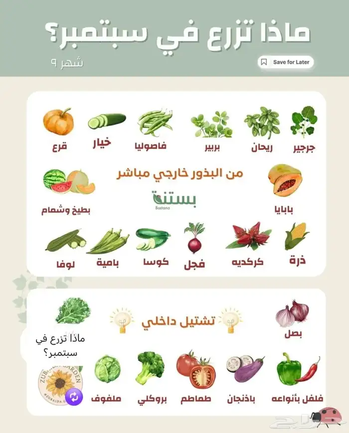 بذور انواع الخضار الموسمية 1