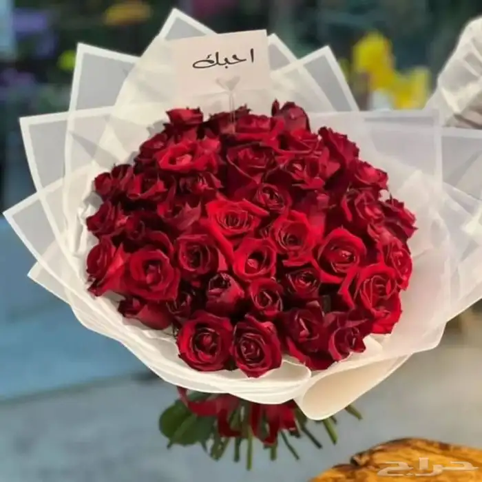 محل وردوهدايا خميس مشيط 6