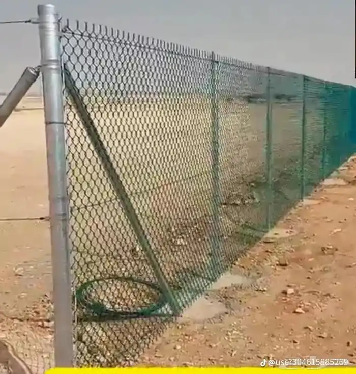 تركيب شبوم 9