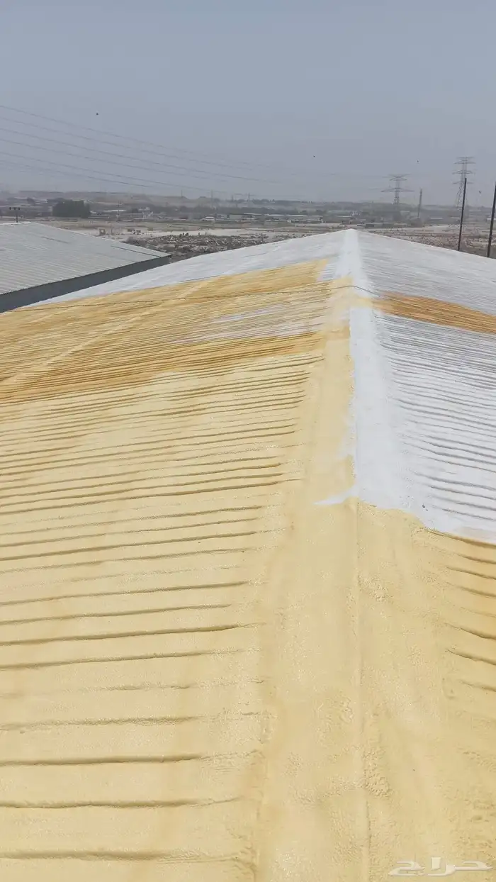عزل فوم مائي ومراري 1