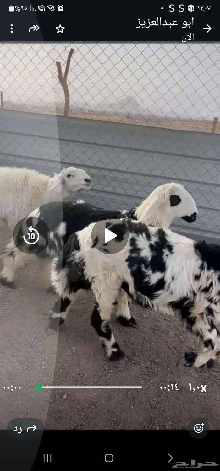 توصيل للمطابخ 9