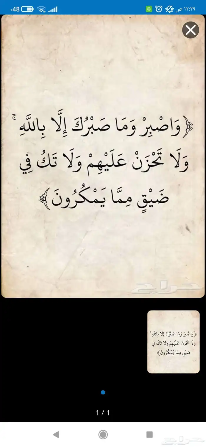 محفظه قران بالتجويد والاحكام للاطفال والنساء خبره عن بعد 0