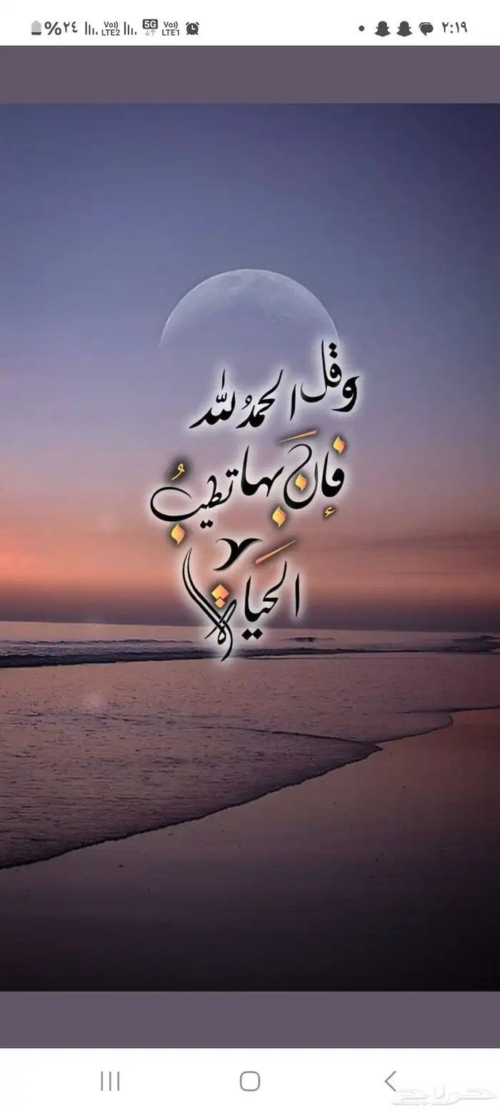 لوحة نقل معنى ورباعي مكرر VIP 1