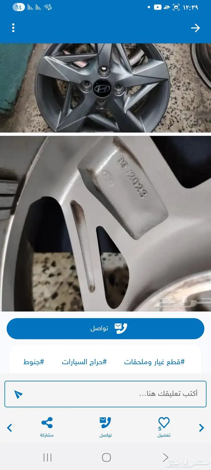 جنوط اكسنت وكاله 2023 2024 2