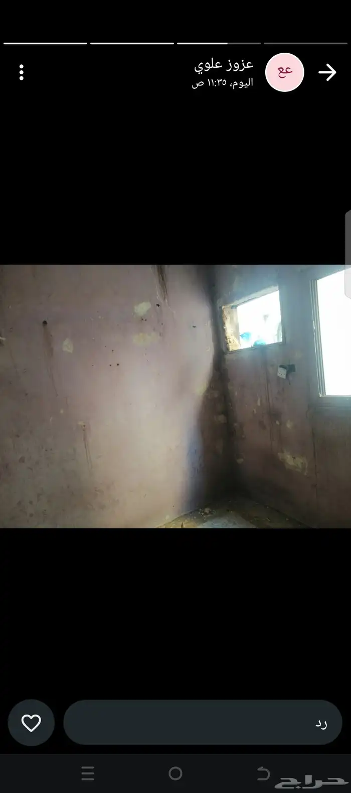 ديكورات ودهانات وجميع انواعها وكمان تشطيبات 3