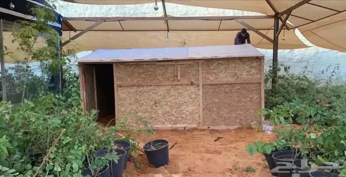 غرف خشبية متنقله سهله الفك وتركيب 9