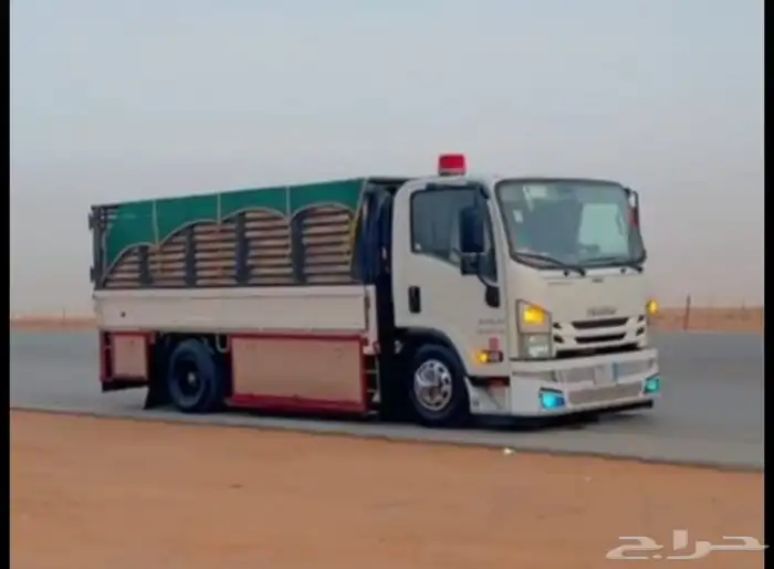 دينا شحن للنقل الداخليk 0