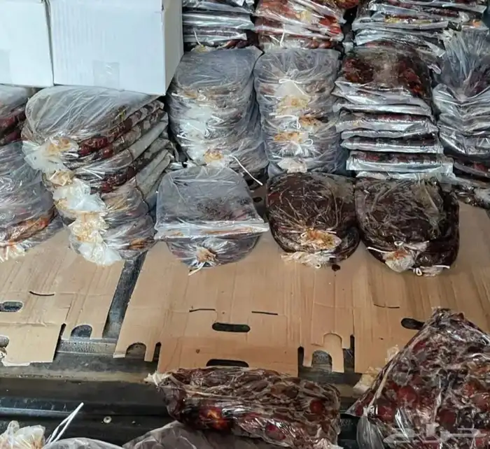 تمور حائل الفاخره 1