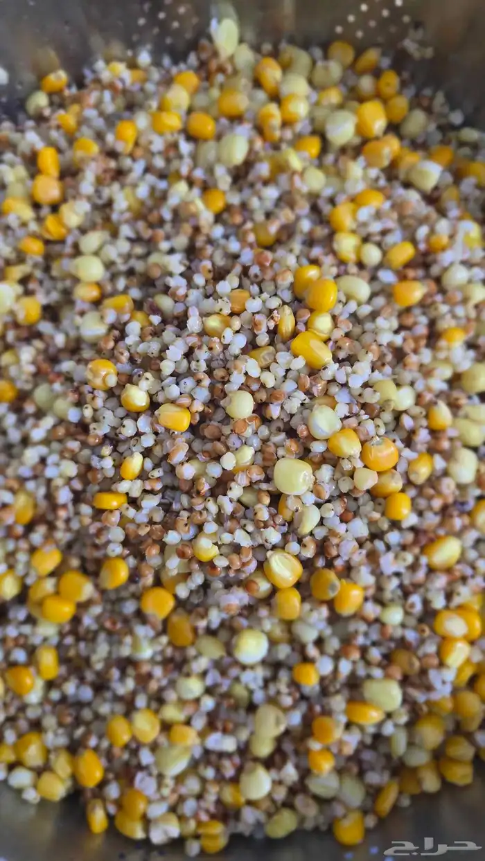 منقوع مشكل جاهز للتقديم لجميع انواع الطيور والببغاوات 1