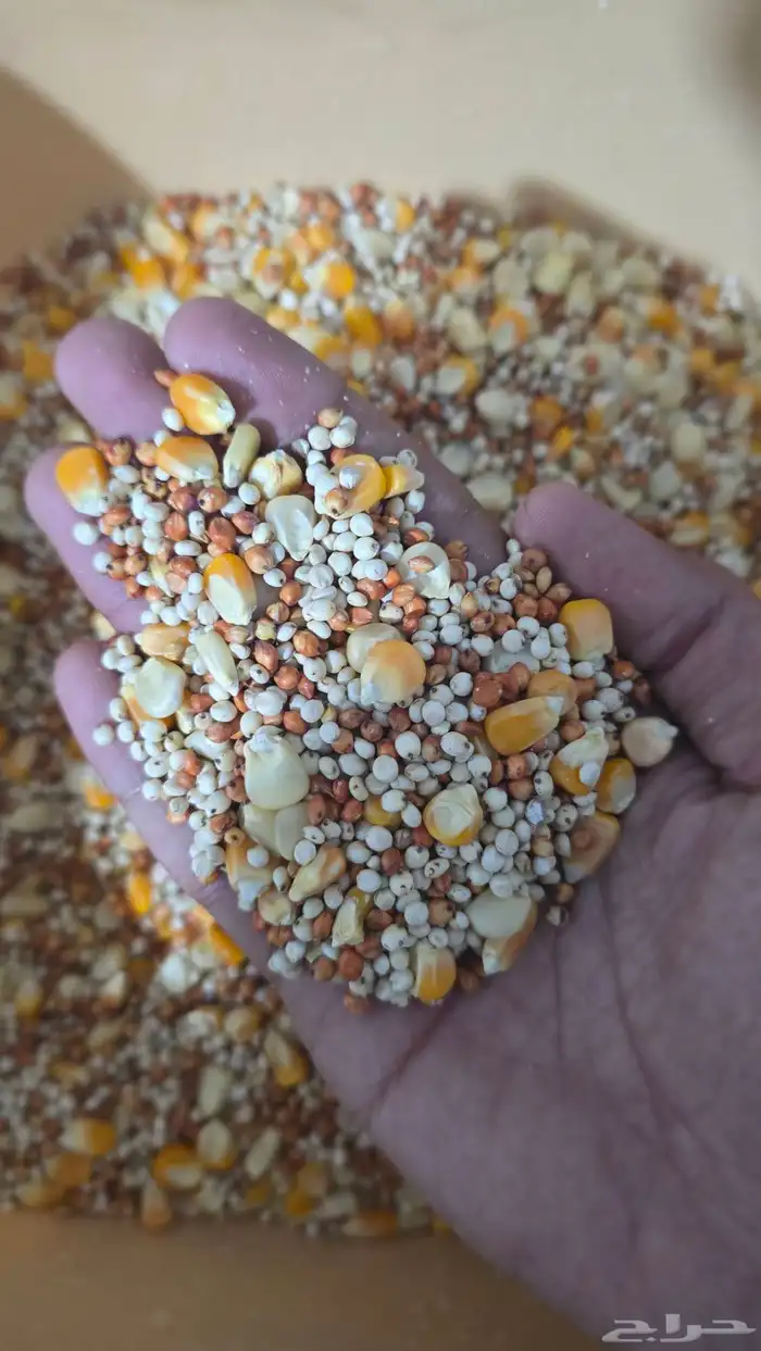 منقوع مشكل جاهز للتقديم لجميع انواع الطيور والببغاوات 2