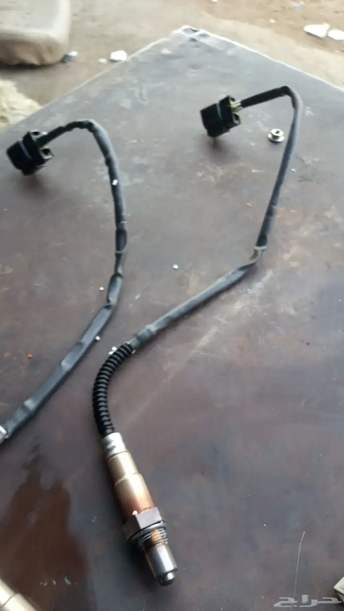 حساسات قزوز اكسنت 2010 0